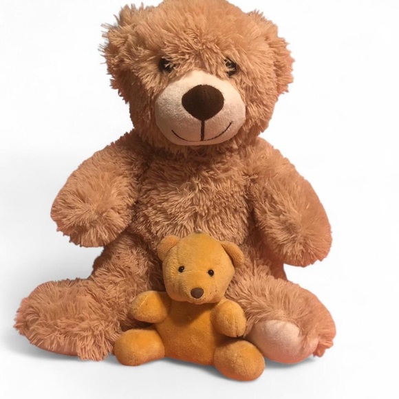 Other - Adorable Brown Teddy Bear Set